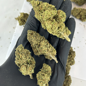 Blueberry