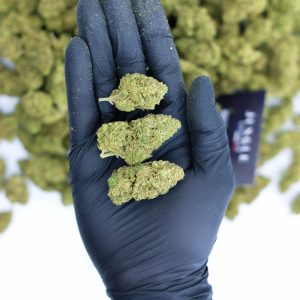 lemon haze