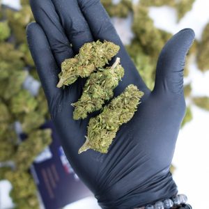 Skywalker