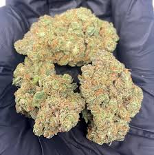 Bluberry Muffin